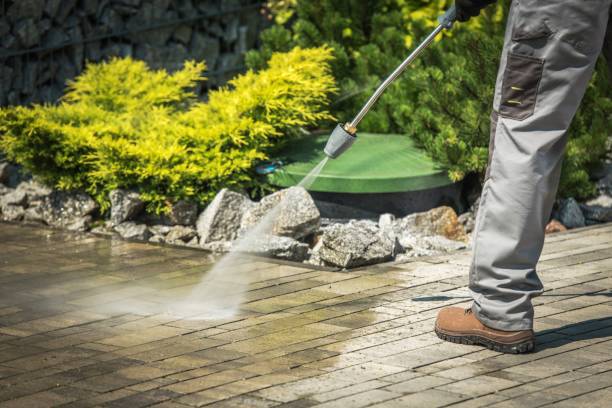 Best Driveway Cleaning and Restoration in Schulenburg, TX